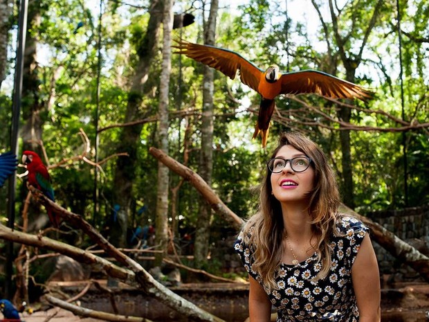 Mais de 780 mil pessoas visitaram o atrativo turístico em 2015 (Foto: Divulgação/ Parque das Aves )